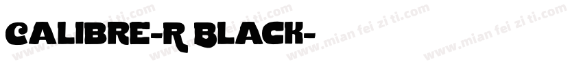 Calibre-R Black字体转换